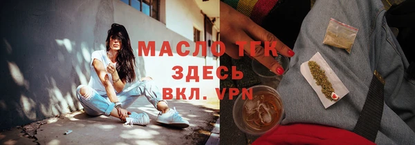 крисы Надым