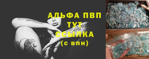 крисы Надым