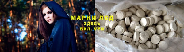 крисы Надым