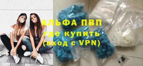 крисы Надым