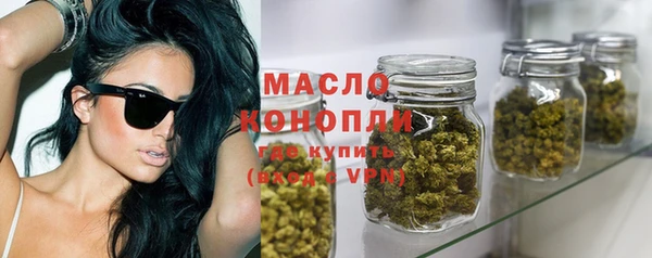 крисы Надым