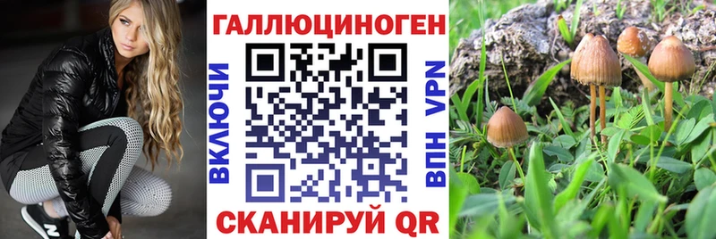 нарко площадка какой сайт  Энгельс  Галлюциногенные грибы MAGIC MUSHROOMS 